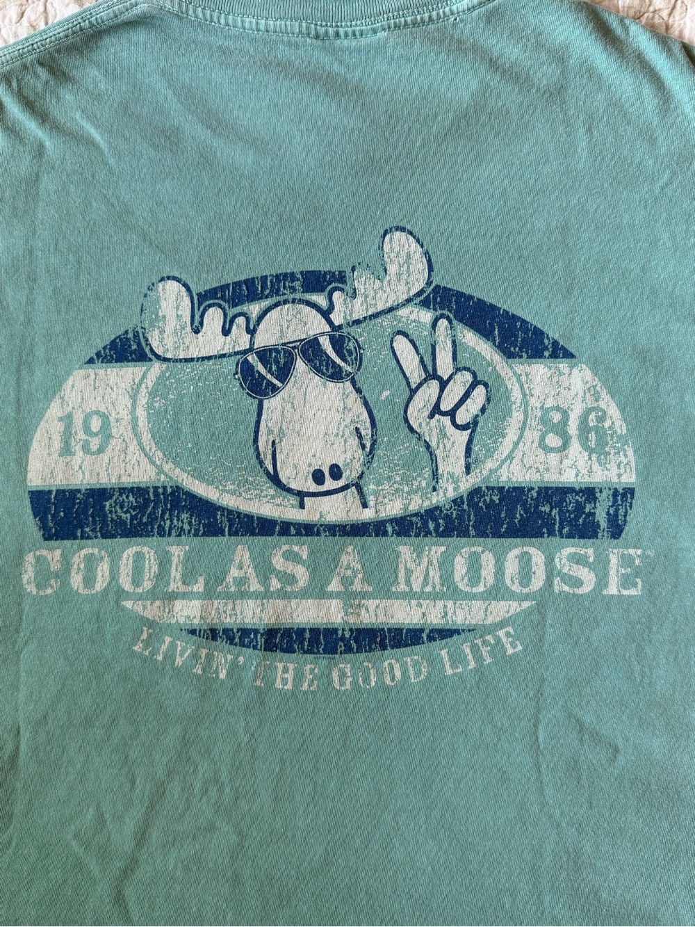 Comfort Colors Teal 'Cool As A Moose' Graphic Tee Men’s size M